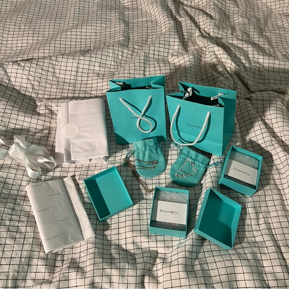 Tiffany & Co Infinity Double Chain Sterling Silver Necklace - Picture 4 of 5